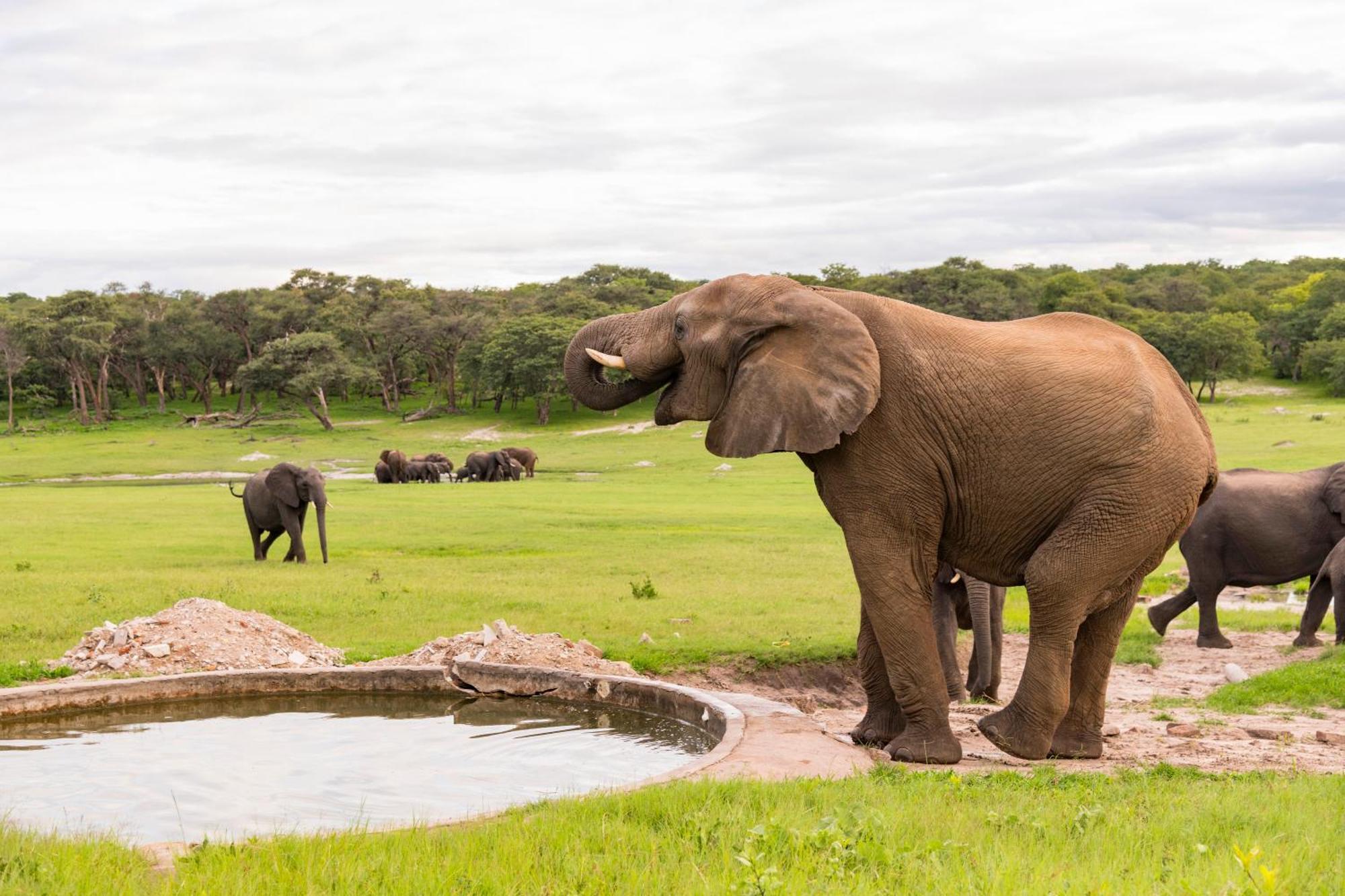 Hwange Safari Lodge Dete Exterior foto