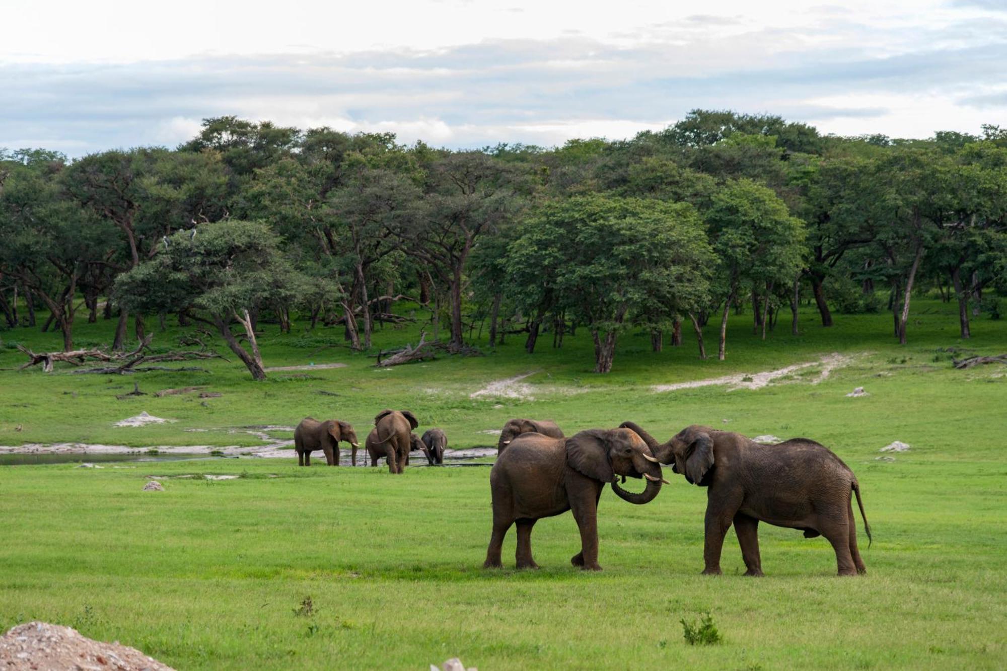 Hwange Safari Lodge Dete Exterior foto